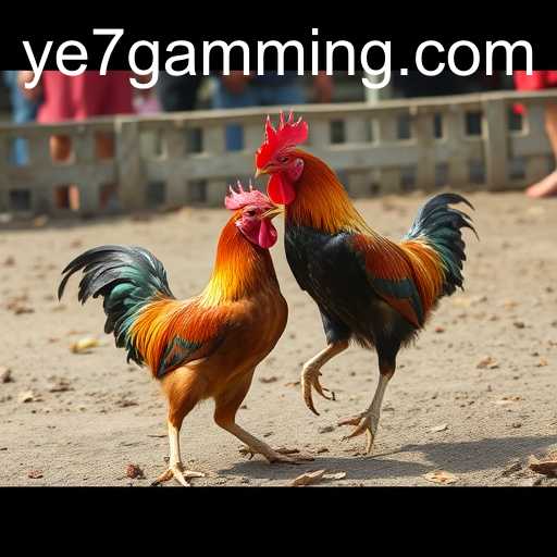 Exploring the Thriving World of Online Sabong: A Comprehensive Insight Into the YE7 Phenomenon